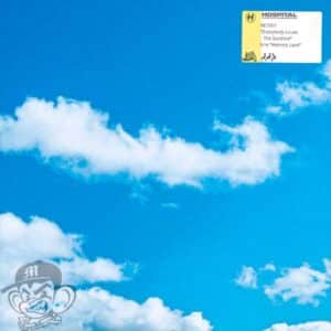 Netsky - Everybody Loves The Sunshine