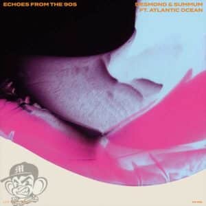 Desmond - Summum Feat Atlantic Ocean - Echoes From The 90s